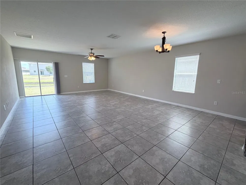 10013 CRESTED FRINGE DRIVE Riverview, FL 33578