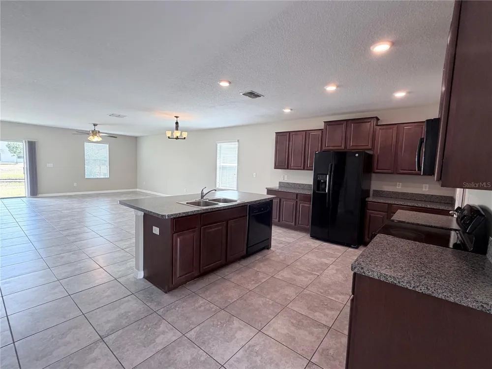 10013 CRESTED FRINGE DRIVE Riverview, FL 33578