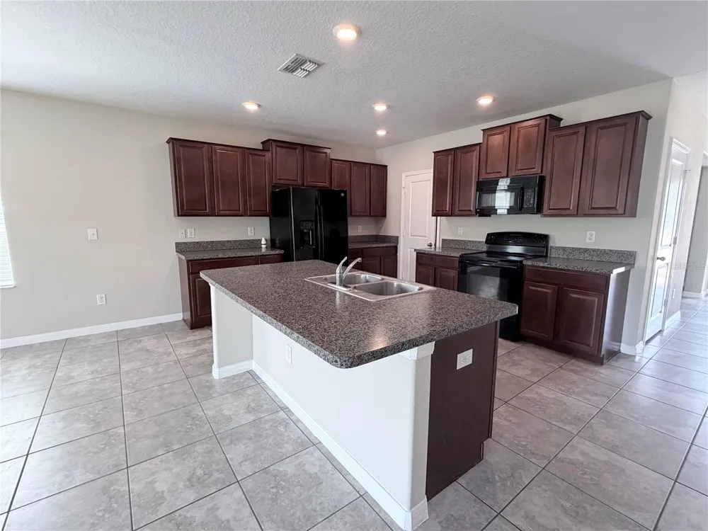 10013 CRESTED FRINGE DRIVE Riverview, FL 33578