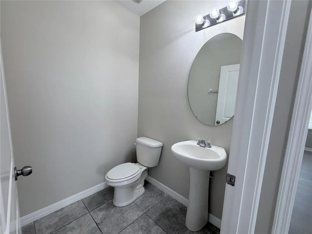 10013 CRESTED FRINGE DRIVE Riverview, FL 33578