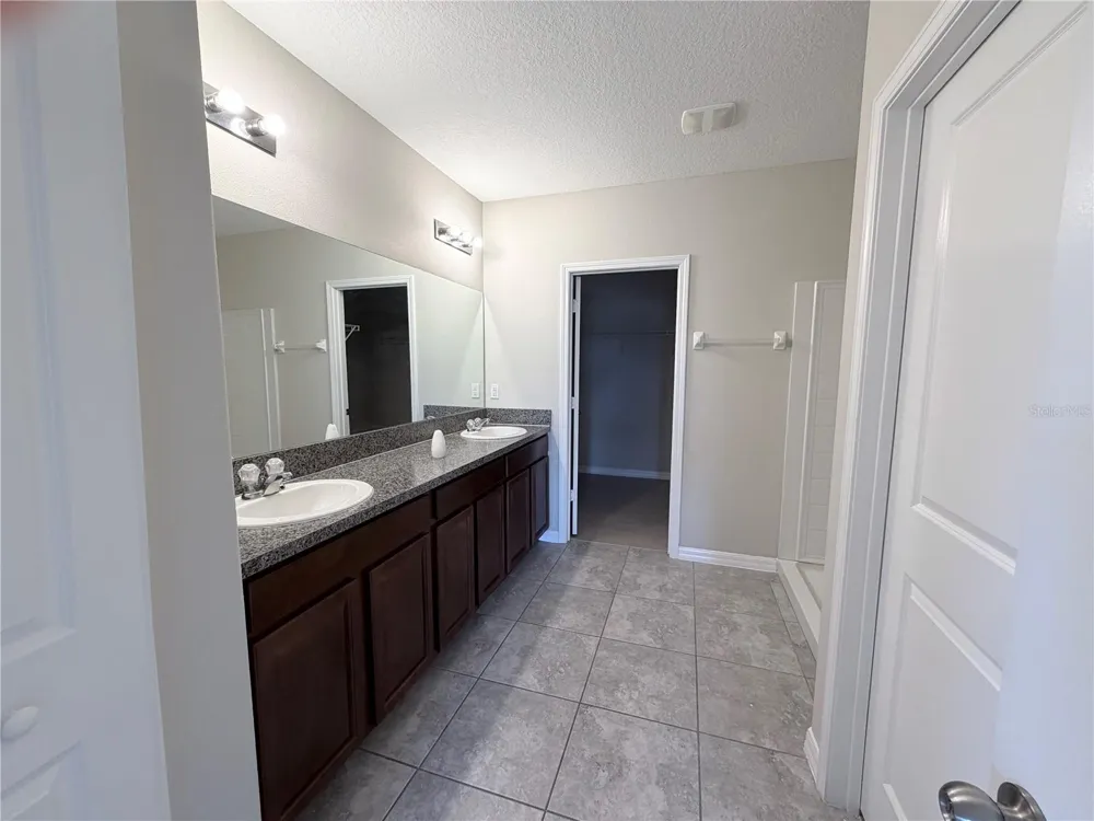 10013 CRESTED FRINGE DRIVE Riverview, FL 33578