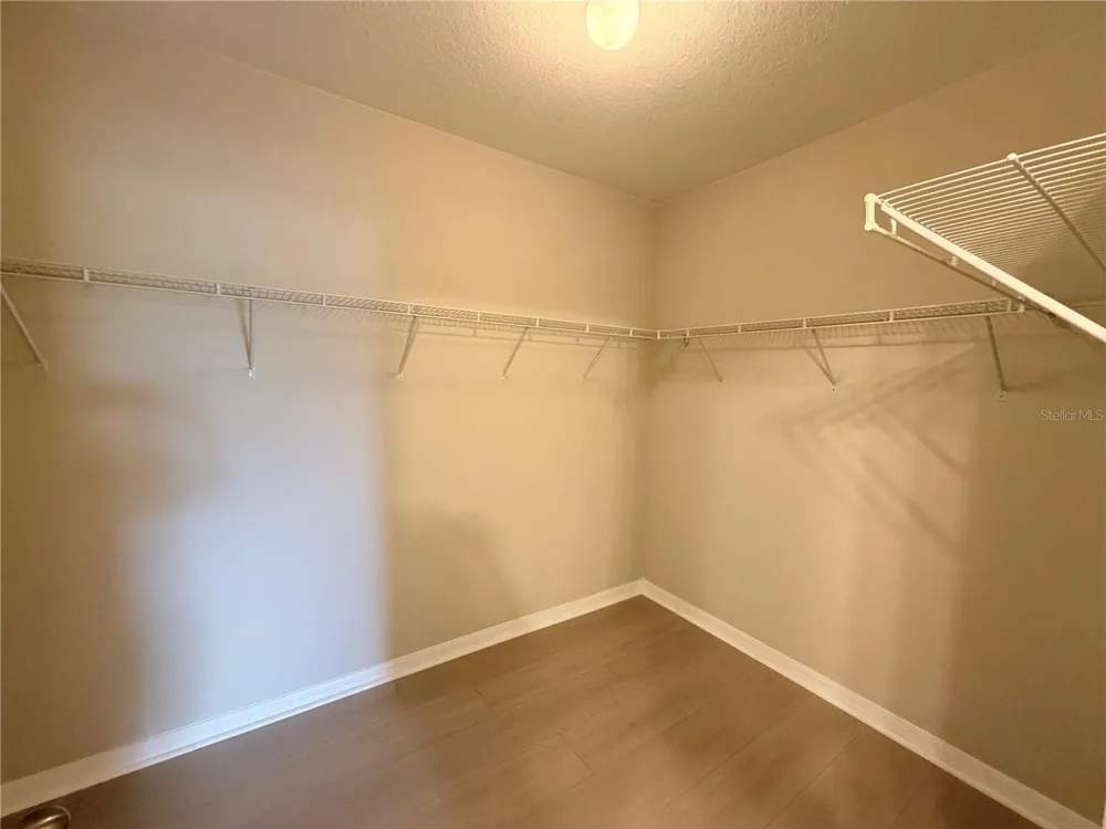 10013 CRESTED FRINGE DRIVE Riverview, FL 33578