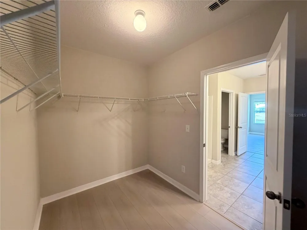 10013 CRESTED FRINGE DRIVE Riverview, FL 33578