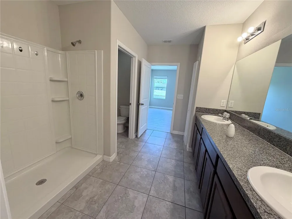 10013 CRESTED FRINGE DRIVE Riverview, FL 33578