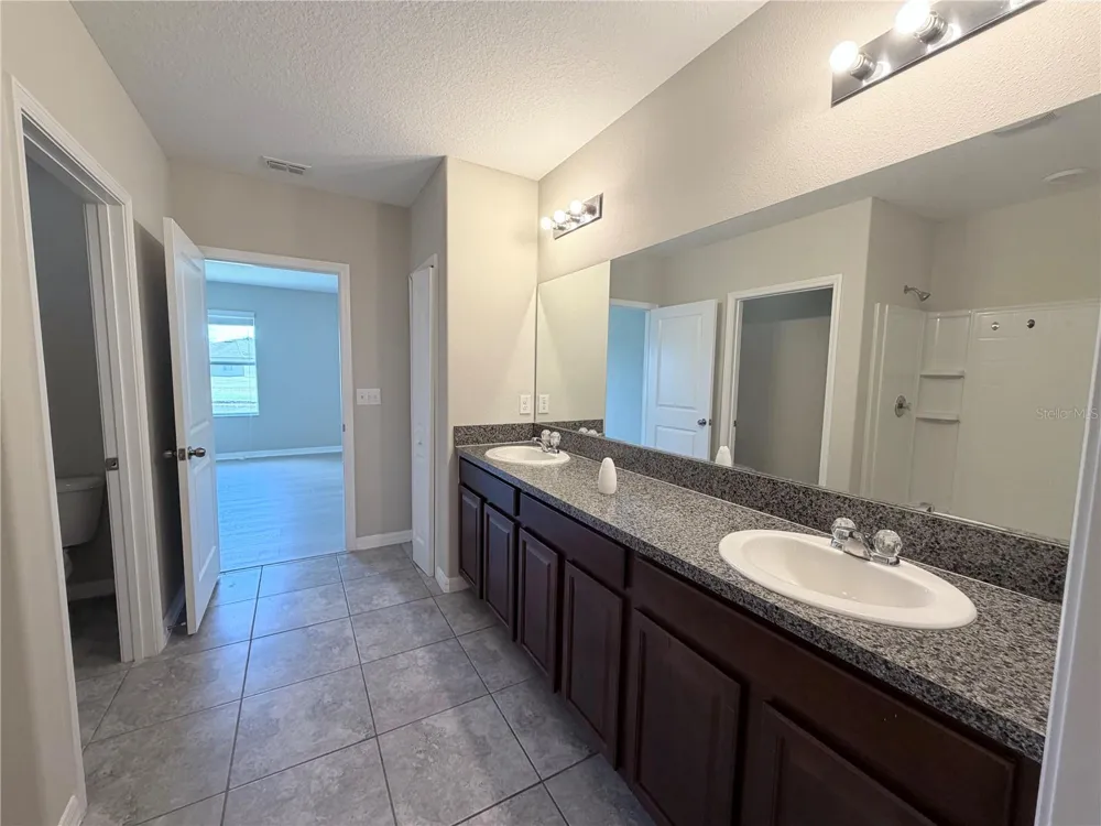 10013 CRESTED FRINGE DRIVE Riverview, FL 33578