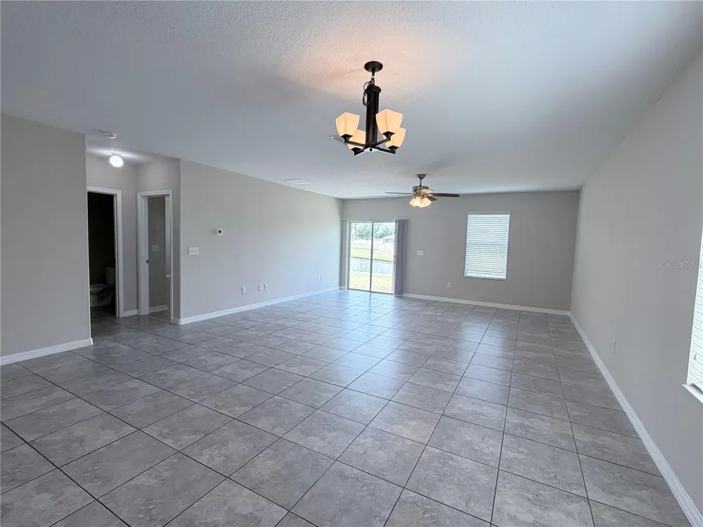 10013 CRESTED FRINGE DRIVE Riverview, FL 33578