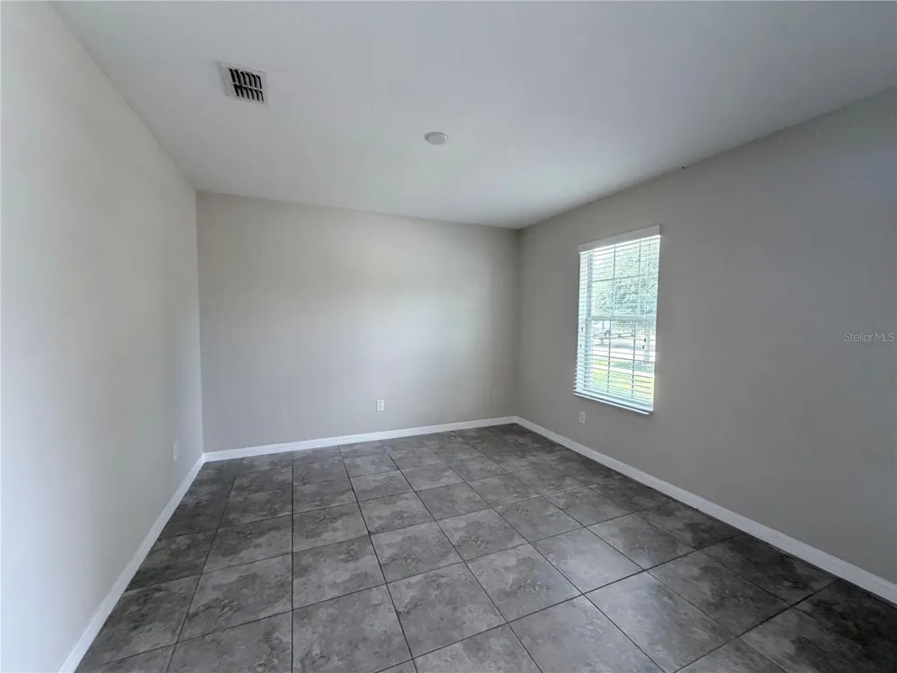 10013 CRESTED FRINGE DRIVE Riverview, FL 33578