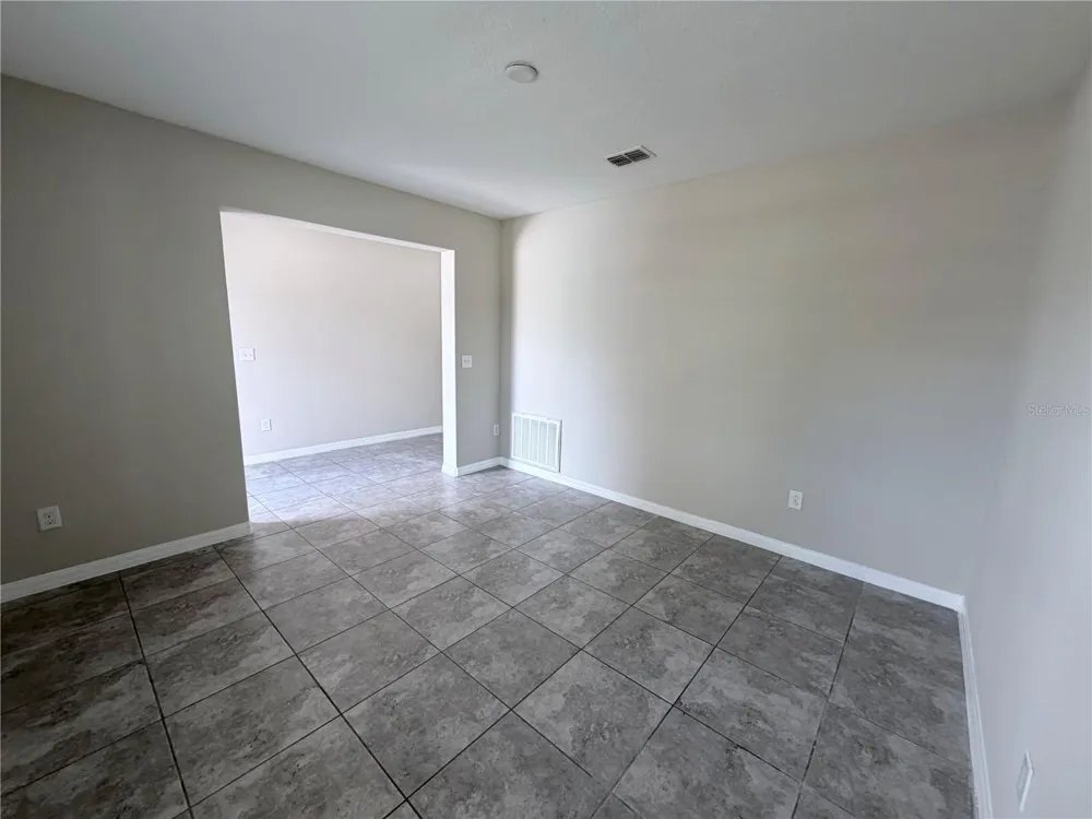10013 CRESTED FRINGE DRIVE Riverview, FL 33578