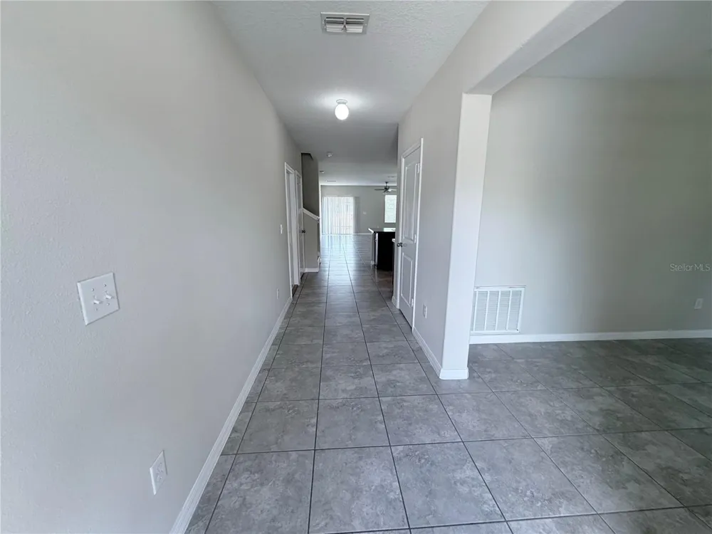 10013 CRESTED FRINGE DRIVE Riverview, FL 33578