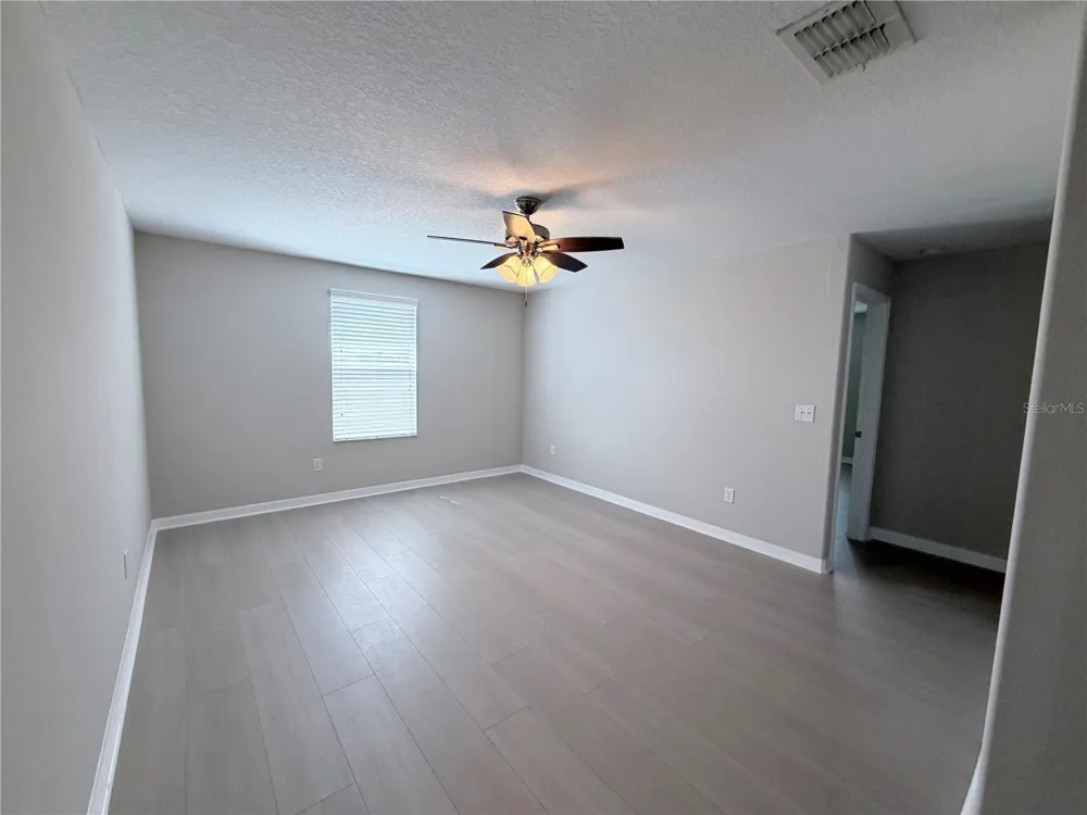 10013 CRESTED FRINGE DRIVE Riverview, FL 33578