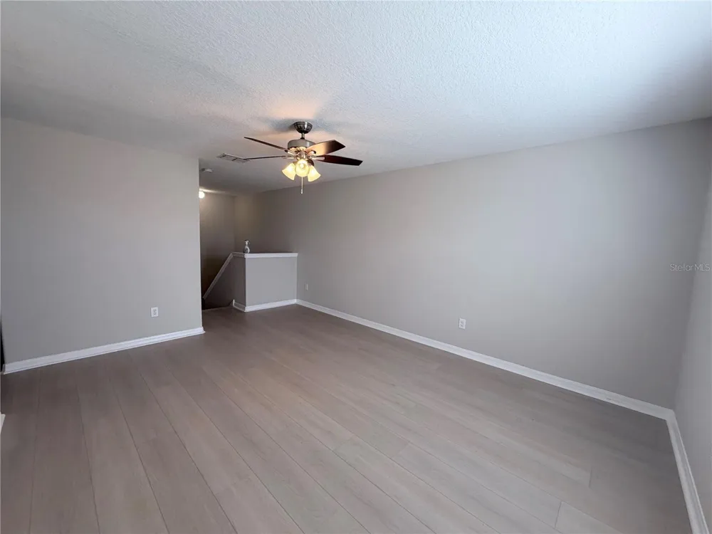 10013 CRESTED FRINGE DRIVE Riverview, FL 33578