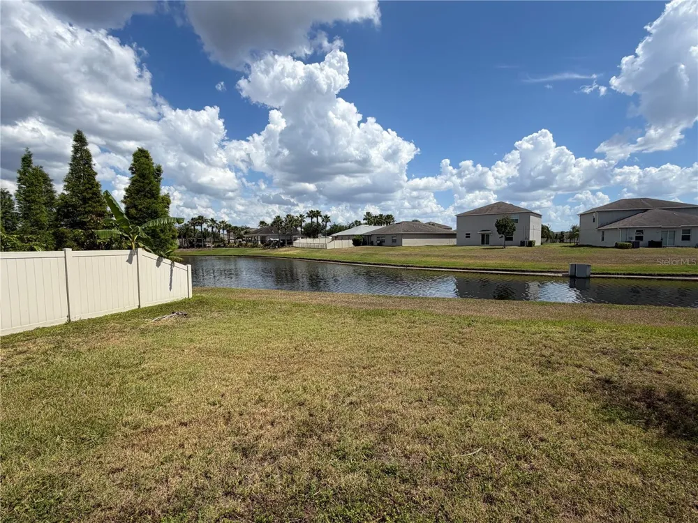 10013 CRESTED FRINGE DRIVE Riverview, FL 33578