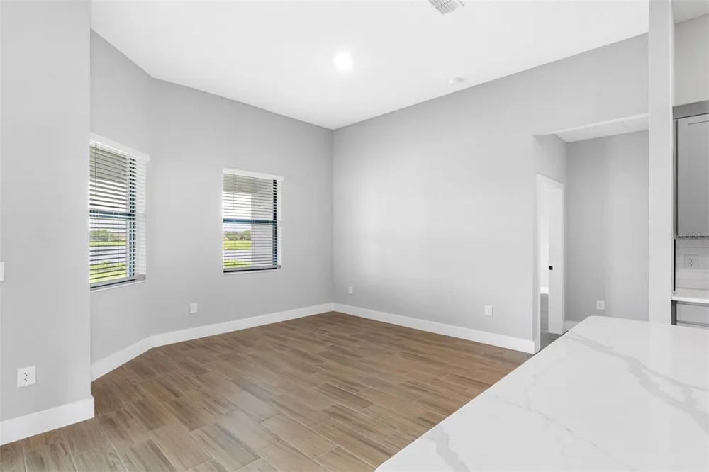 13483 LAKE GALLAGHER DRIVE Dover, FL 33527