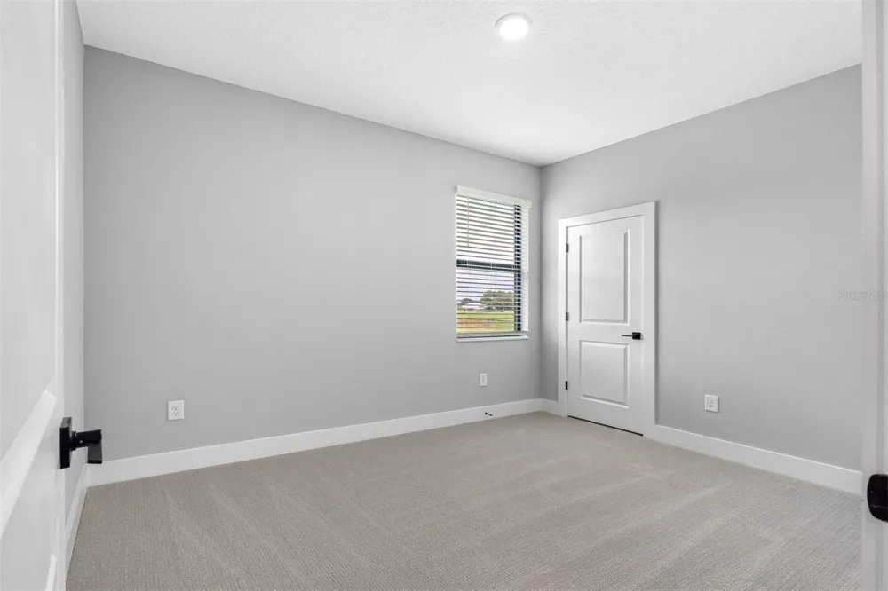 13483 LAKE GALLAGHER DRIVE Dover, FL 33527