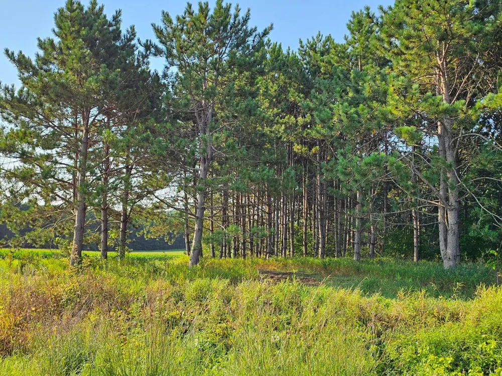 Lot 18 115th Avenue New Richmond, WI 54017