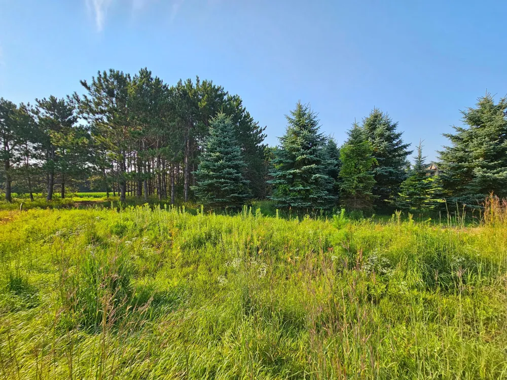 Lot 18 115th Avenue New Richmond, WI 54017