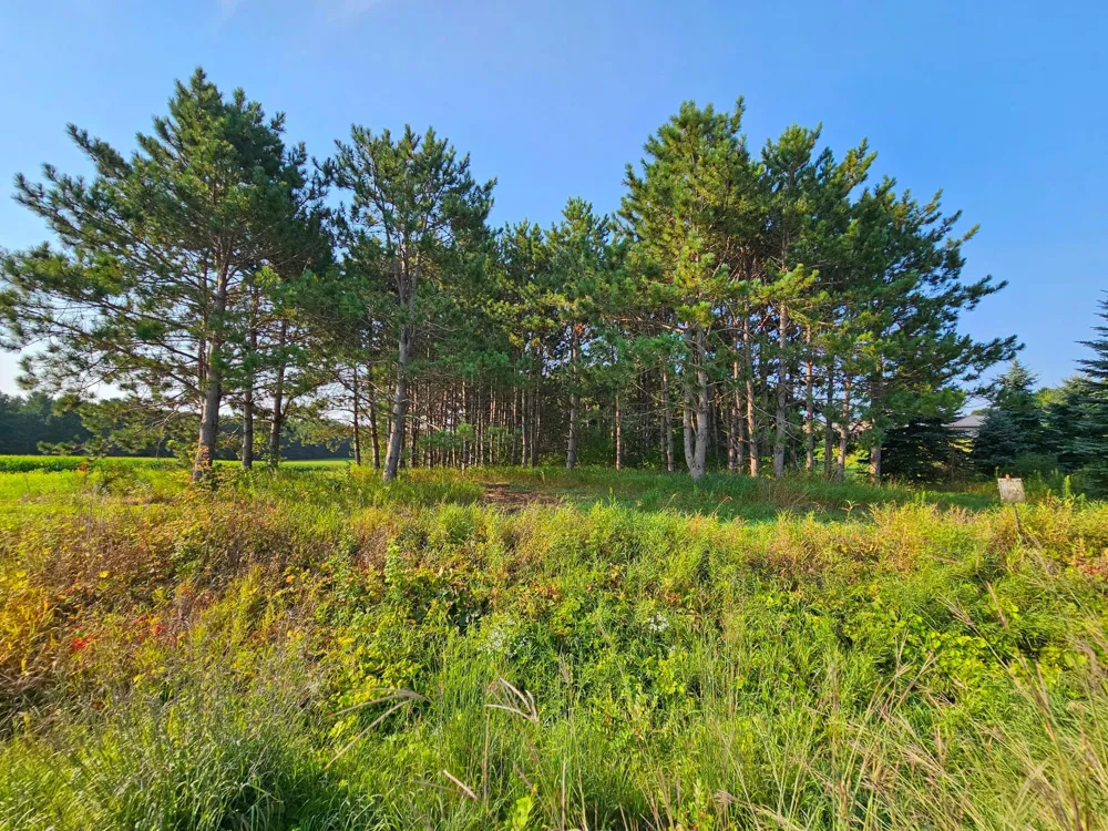 Lot 18 115th Avenue New Richmond, WI 54017
