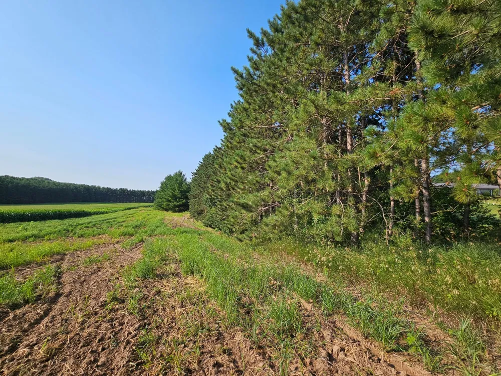 Lot 18 115th Avenue New Richmond, WI 54017
