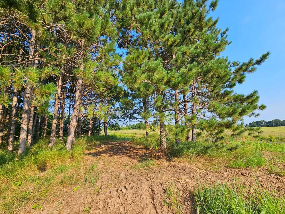 Lot 18 115th Avenue New Richmond, WI 54017