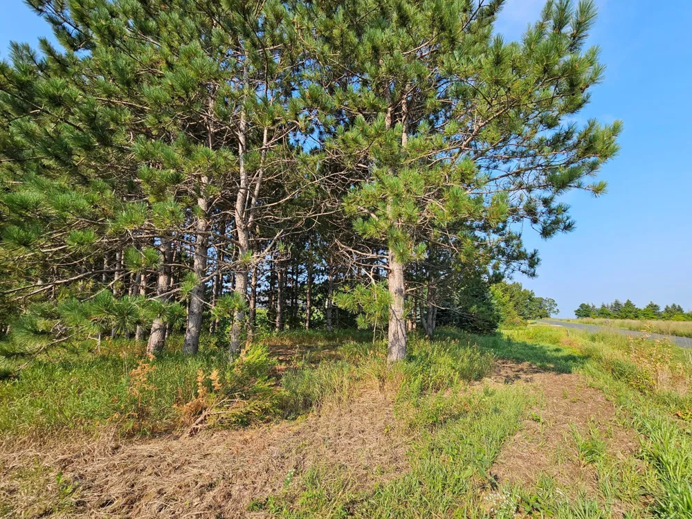 Lot 18 115th Avenue New Richmond, WI 54017