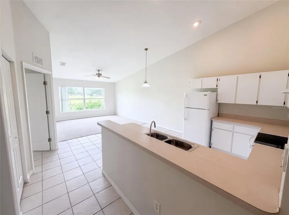 37209 GRASSY HILL LANE Dade City, FL 33525