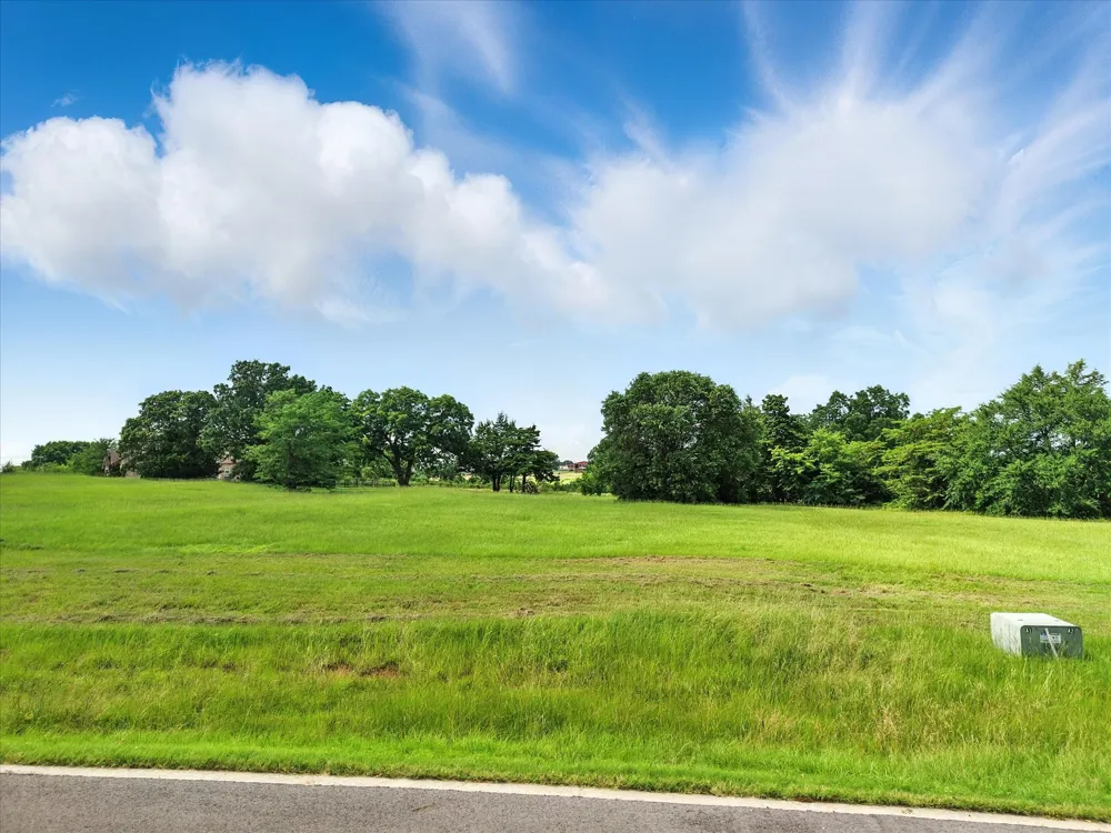 Pronghorn Drive Gordonville, TX 76245
