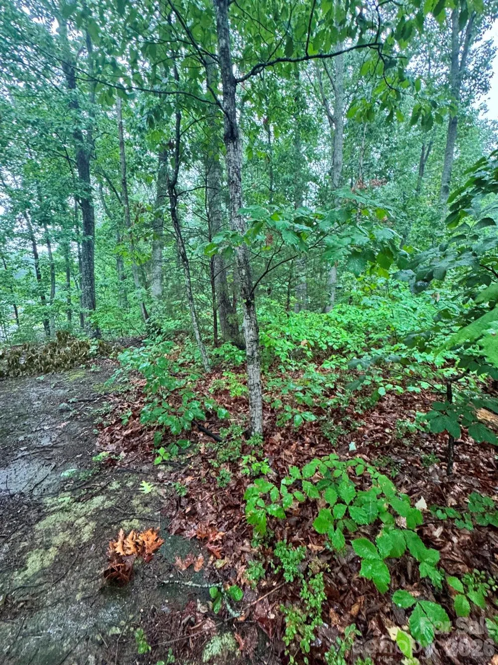 0 Lhasa Apso Lane Iron Station, NC 28080