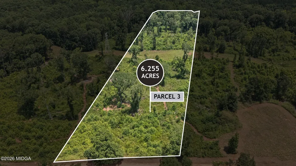 33 Askin Place Culloden, GA 31016