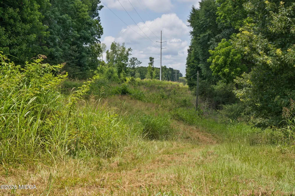 61 Askin Place Culloden, GA 31016