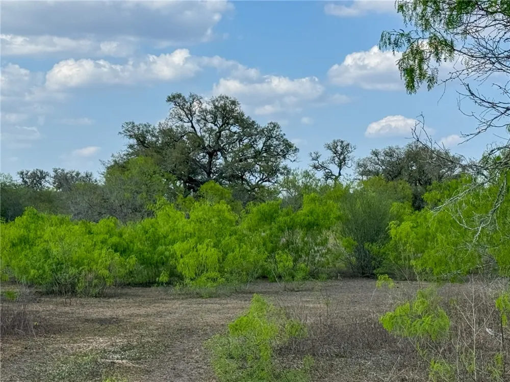 8251 CR 106 Beeville, TX 78102