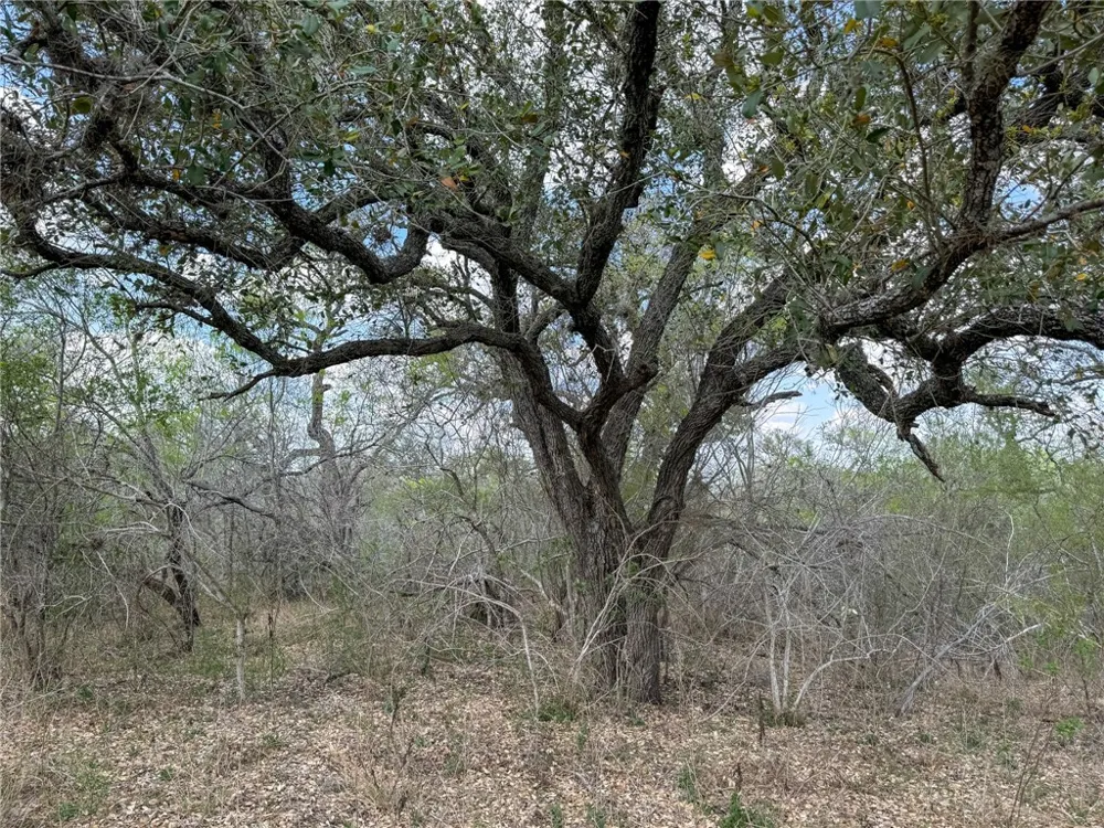 8251 CR 106 Beeville, TX 78102