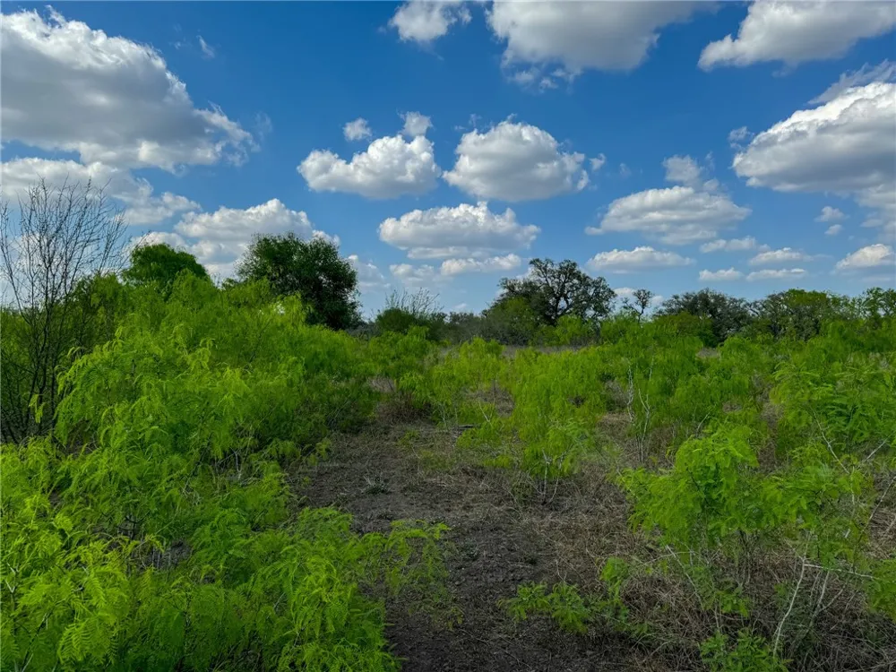 8251 CR 106 Beeville, TX 78102