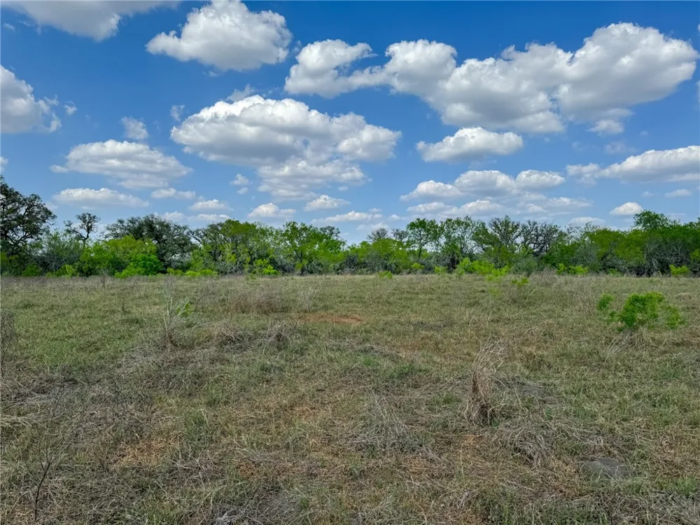 8251 CR 106 Beeville, TX 78102