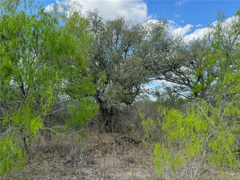 8251 CR 106 Beeville, TX 78102
