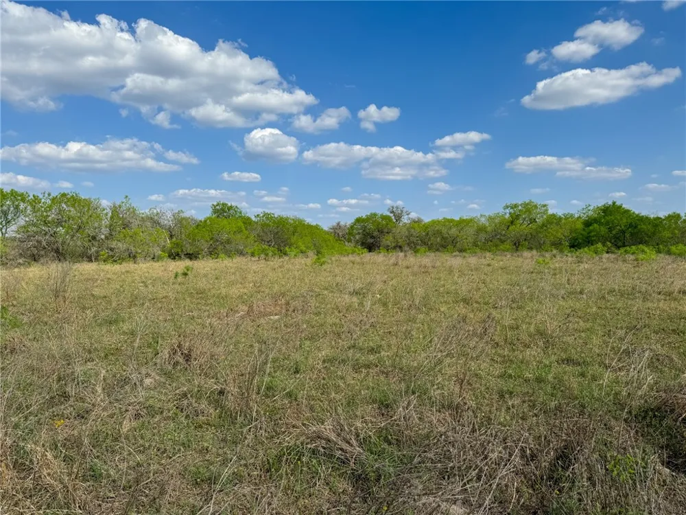 8251 CR 106 Beeville, TX 78102