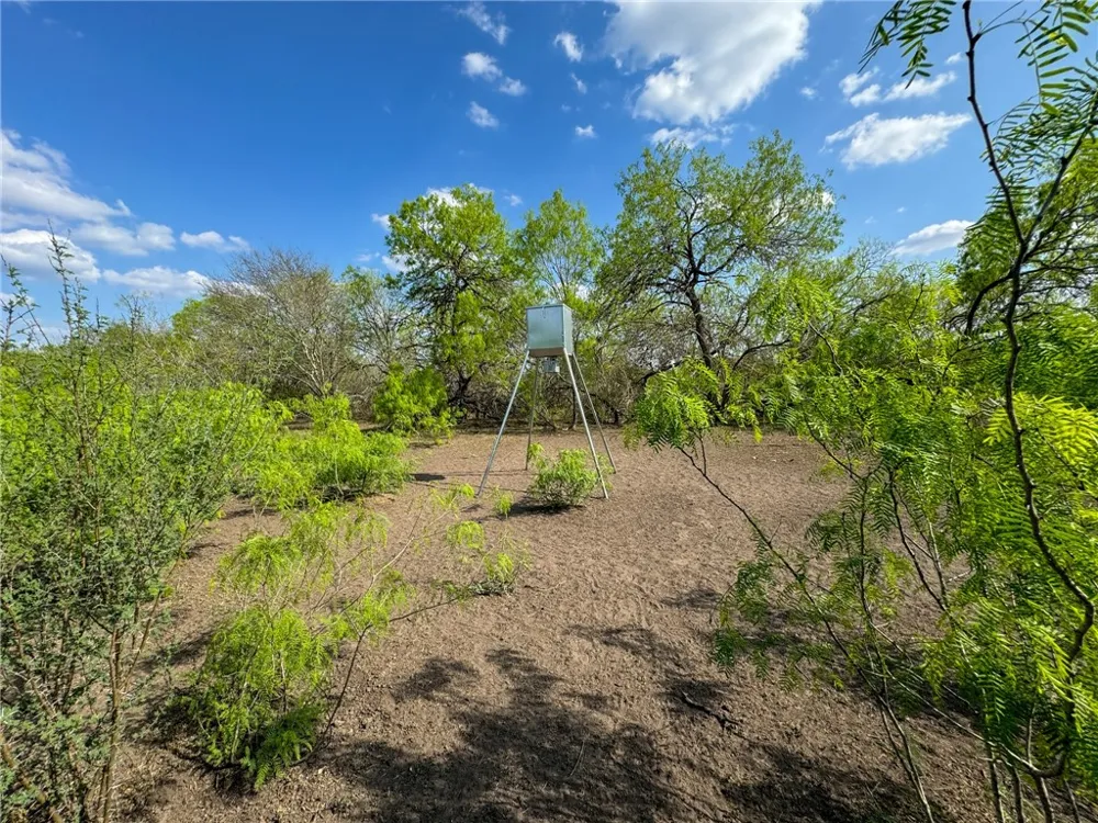 8251 CR 106 Beeville, TX 78102