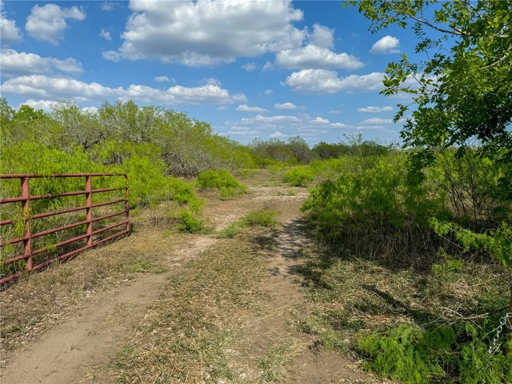 8251 CR 106 Beeville, TX 78102