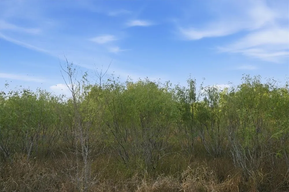 8251 CR 106 Beeville, TX 78102