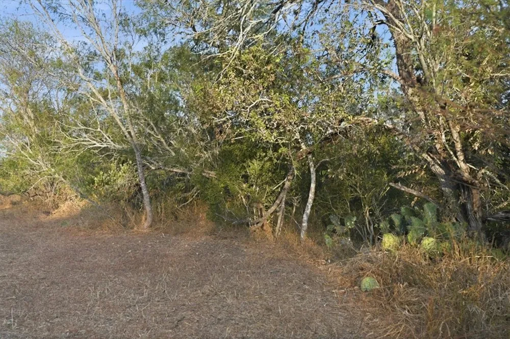 8251 CR 106 Beeville, TX 78102