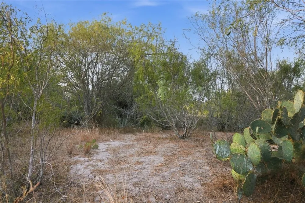 8251 CR 106 Beeville, TX 78102