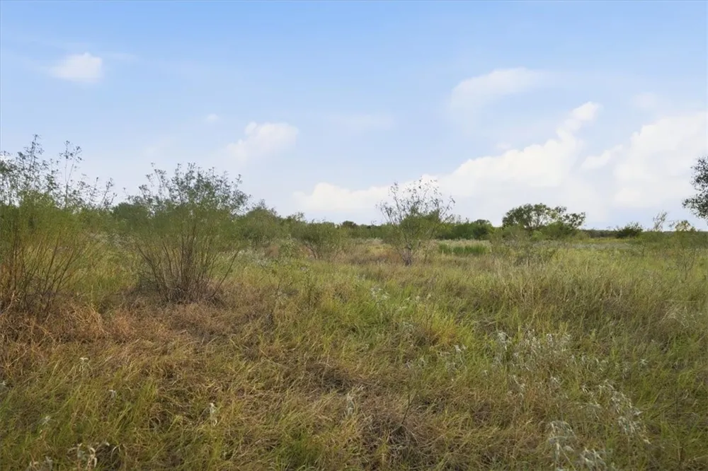 8251 CR 106 Beeville, TX 78102