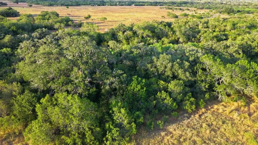 8251 CR 106 Beeville, TX 78102