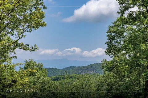 Lot 8 Trailhead Way