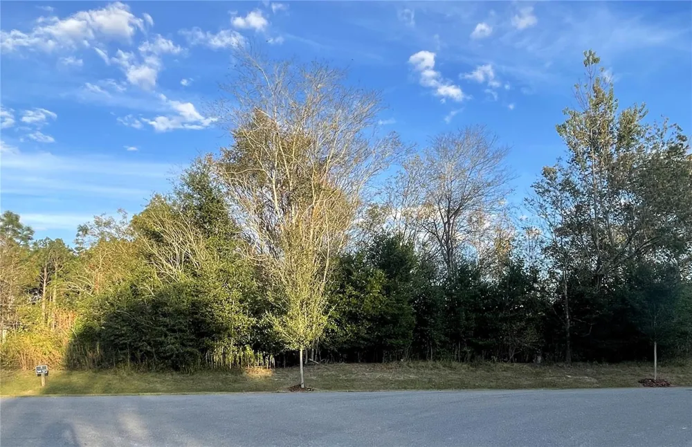 2375 NW 150TH BOULEVARD Newberry, FL 32669