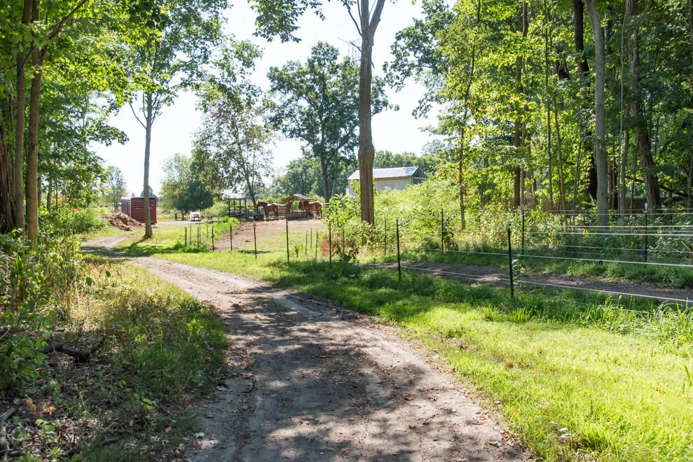 7035 E Main Street Comstock Charter Township, MI 49048