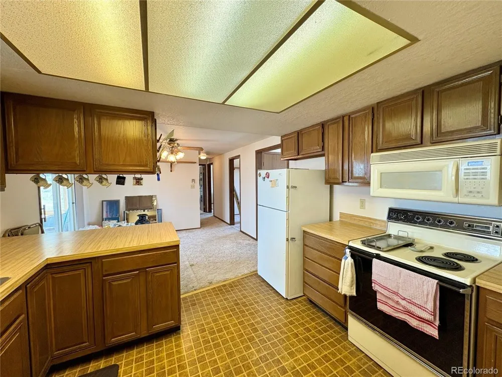 19750 US HWY. 285 Nathrop, CO 81236