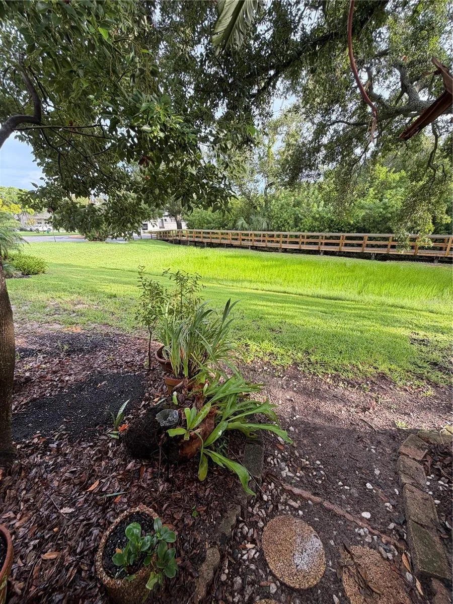 705 BOUGH AVENUE Clearwater, FL 33760