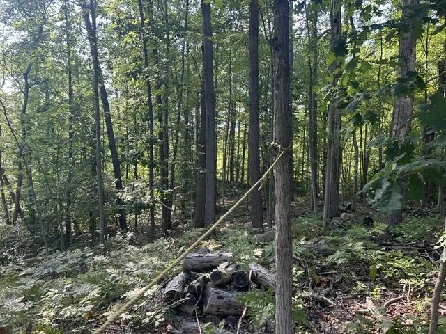9841 River Road Morton Township, MI 49332