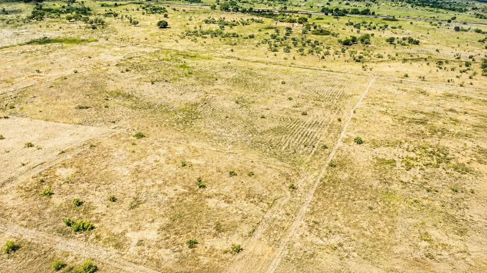 US 81 Highway Bowie, TX 76230