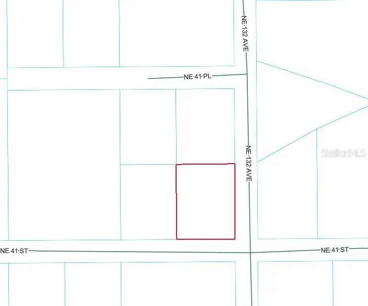 NE 41ST STREET Silver Springs, FL 34488